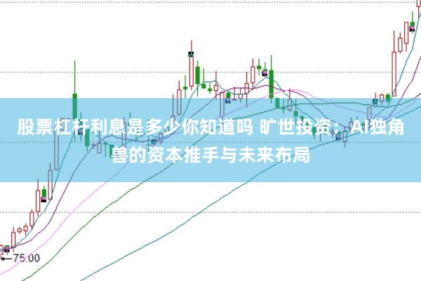 股票杠杆利息是多少你知道吗 旷世投资:AI独角兽的资本推手与未来布局