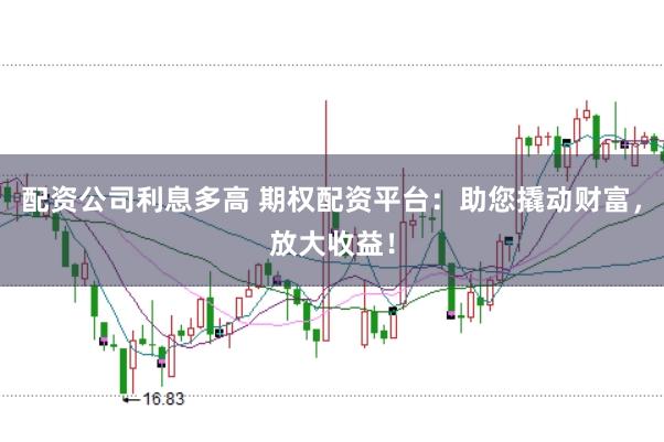 配资公司利息多高 期权配资平台：助您撬动财富，放大收益！