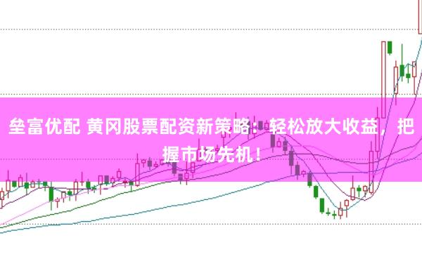 垒富优配 黄冈股票配资新策略:轻松放大收益,把握市场先机!