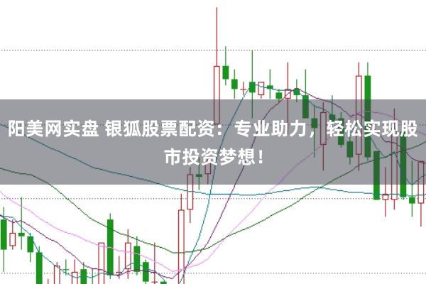 阳美网实盘 银狐股票配资:专业助力,轻松实现股市投资梦想!