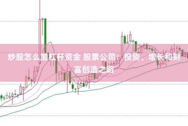 炒股怎么加杠杆资金 股票公司：投资、增长和财富创造之路