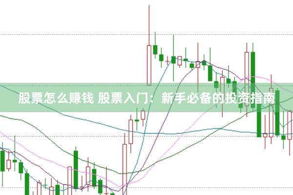 股票怎么赚钱 股票入门：新手必备的投资指南