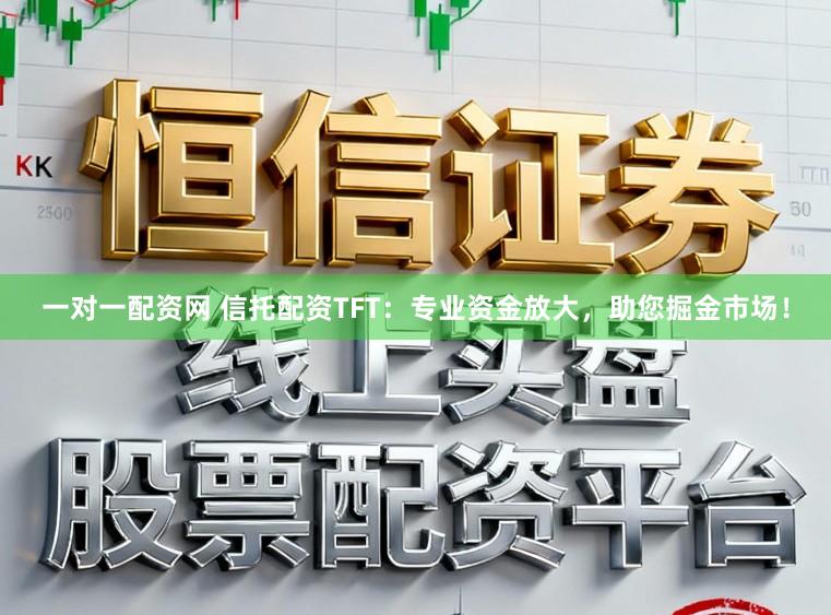 一对一配资网 信托配资TFT:专业资金放大,助您掘金市场!