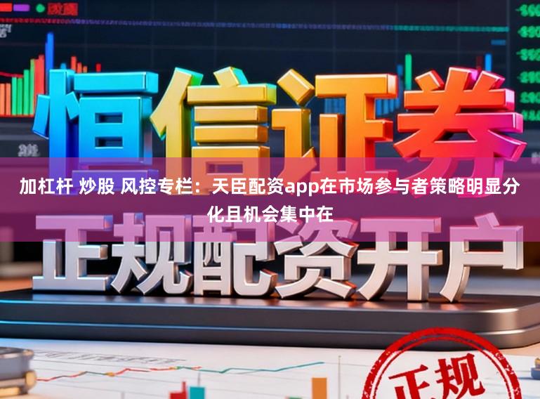 加杠杆 炒股 风控专栏：天臣配资app在市场参与者策略明显分化且机会集中在