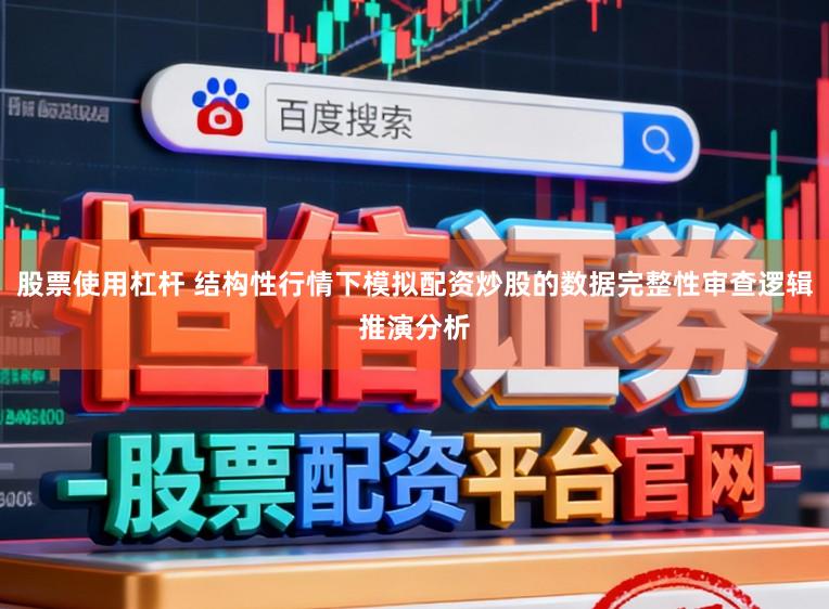 股票使用杠杆 结构性行情下模拟配资炒股的数据完整性审查逻辑推演分析
